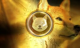Cryptomonnaie : qu’est-ce que Shiba inu ?